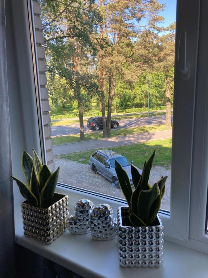 Apartment Vp